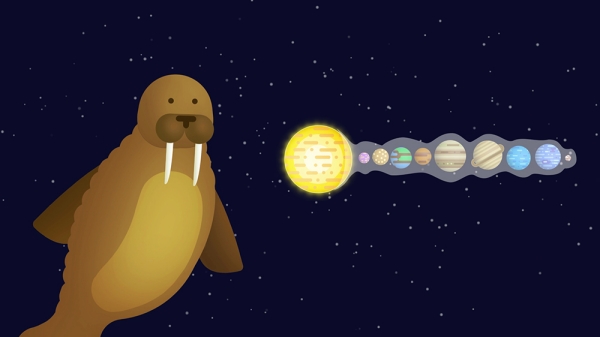 Walrus in Space