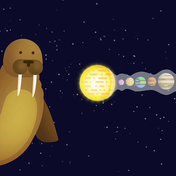 Walrus in Space