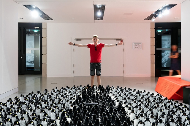 dozens of penguins and a man with his arms outstretched