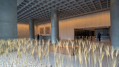 Photo by Jeremy Gordon, Courtesy of Arts Brookfield, image of a wheat field in the lobby