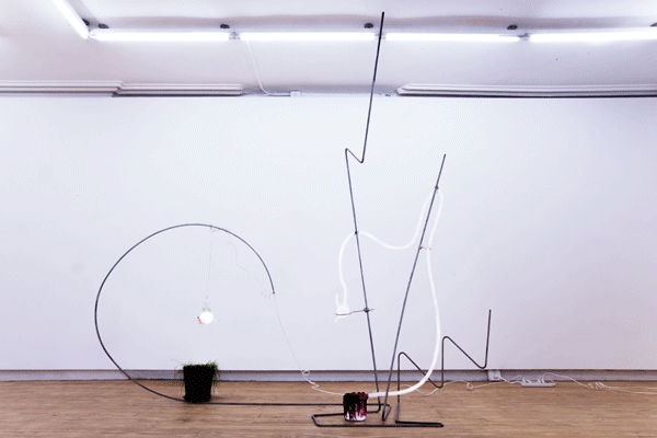 A minimalist installation with wireforms and plastic tubes