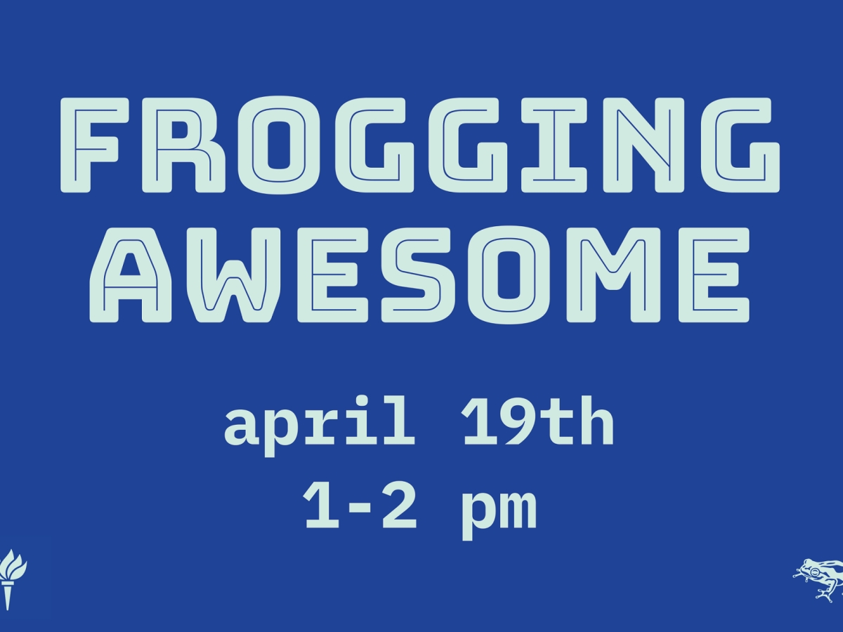 Frog Design Recruitment Event
