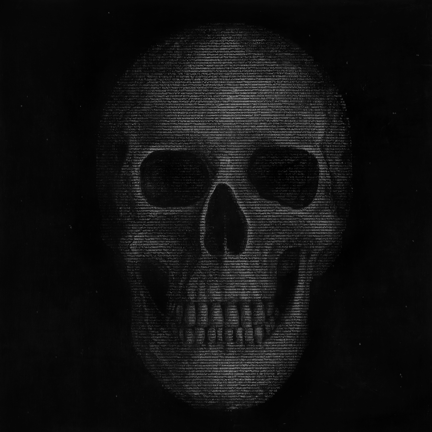 Skull in front of a dark background
