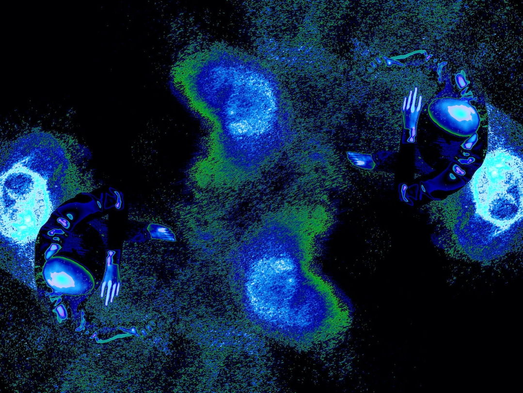 Black Movement Library