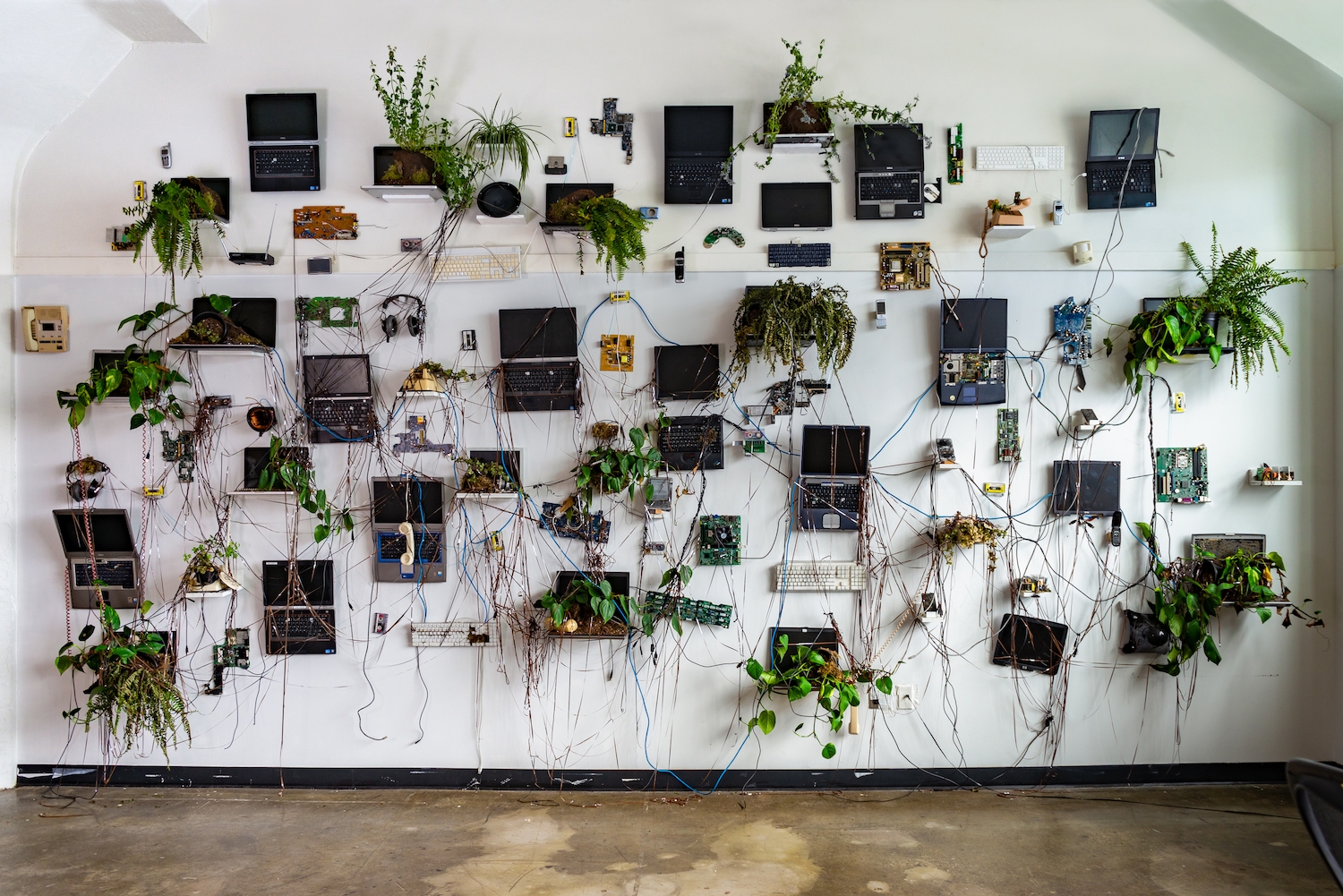 wall of waste and plants