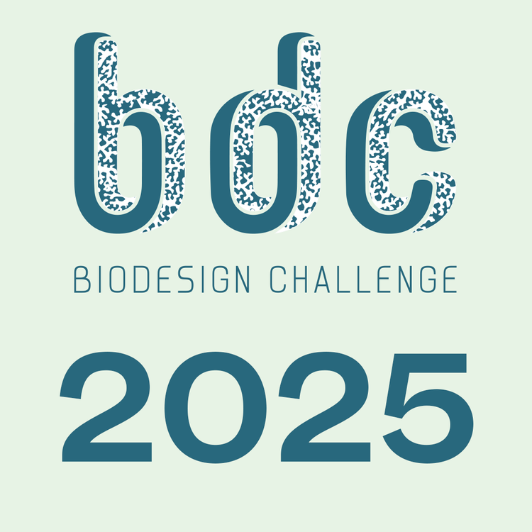 BDC 2024