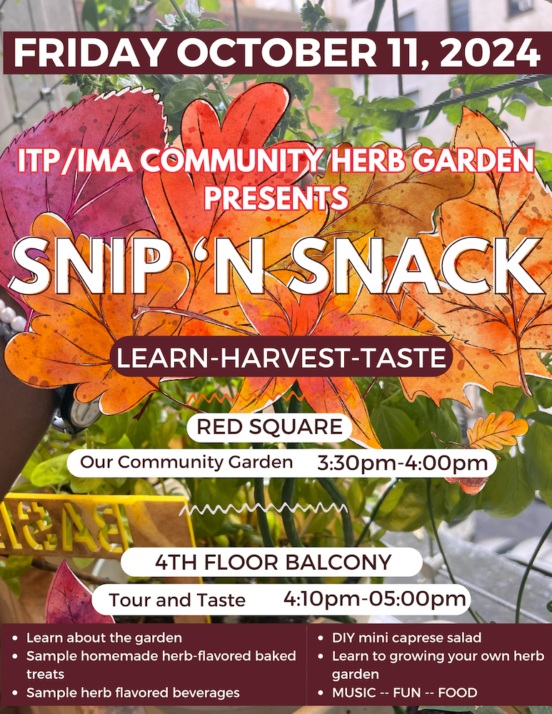 thumbnail: Snip and Snack: Learn, Harvest and Taste in the ITP/IMA Community Herb Garden