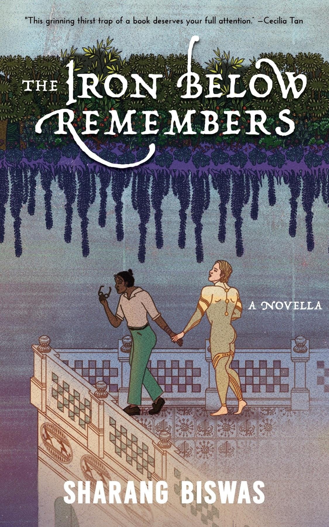 the iron remembers book cover