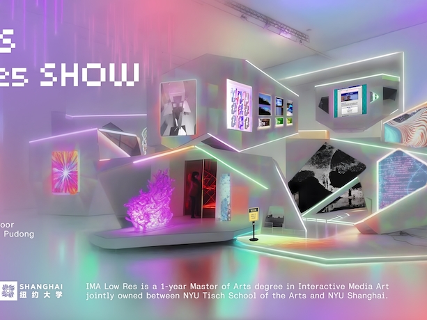 IMA Low Res '25 Thesis Show