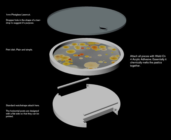 a digitally created petri dish