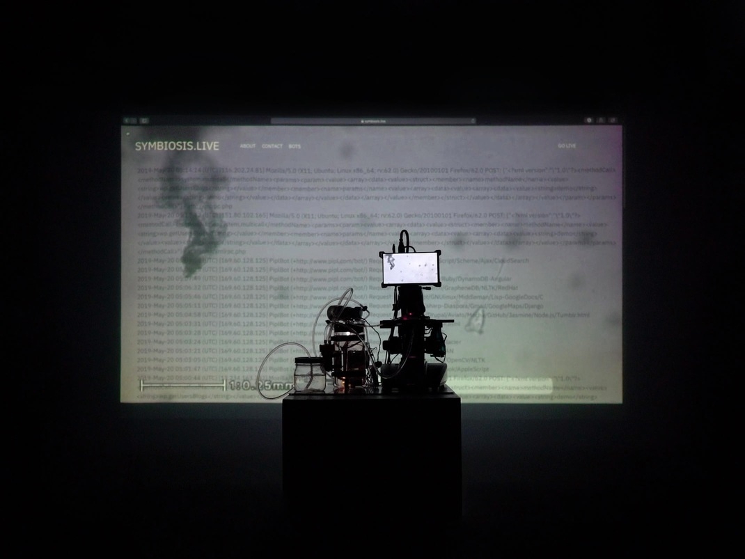 Image of installation piece Symbiois.Live