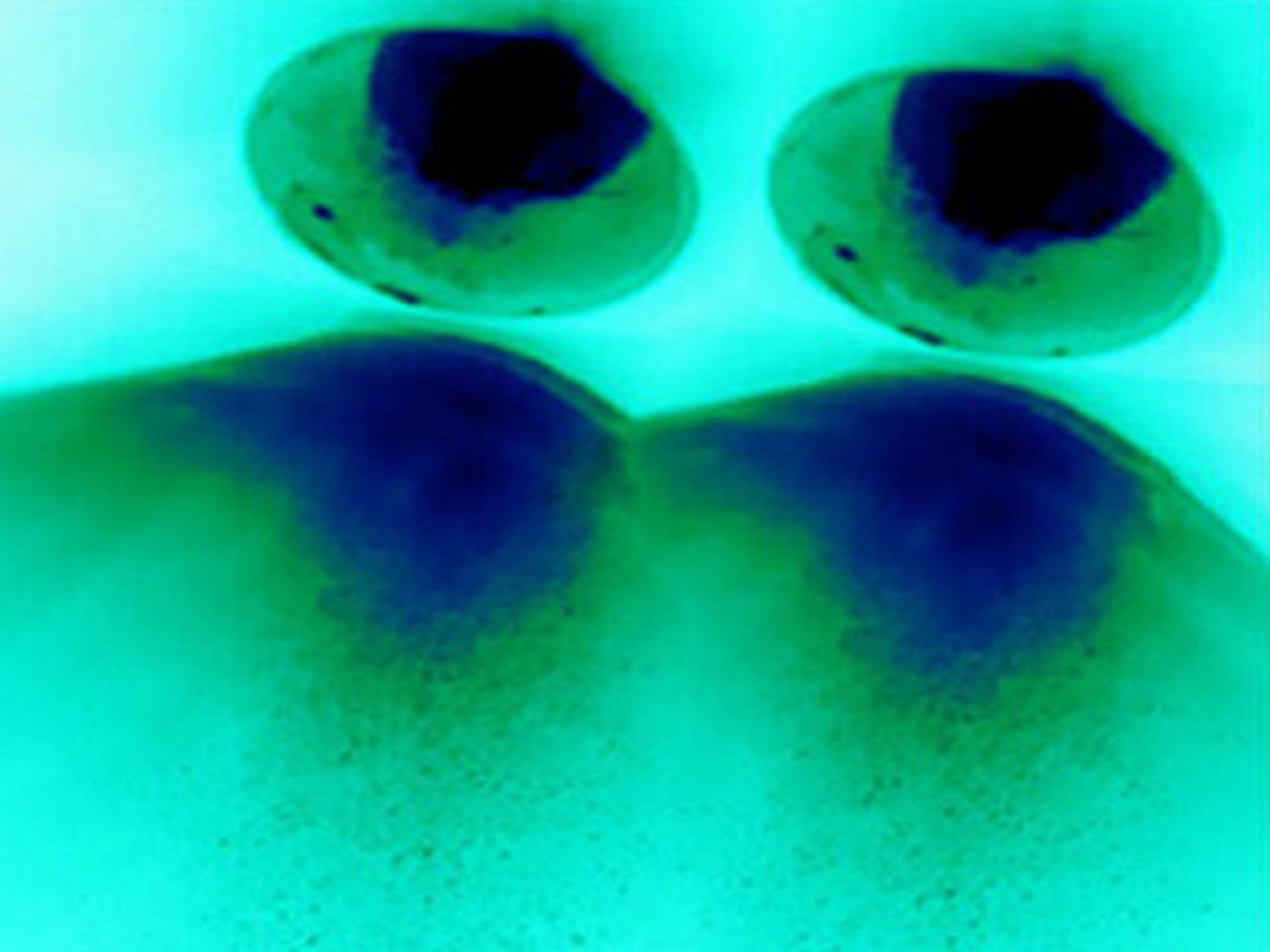 Blinking Intermittence of Constraint: Performativity, Scale, and Impact