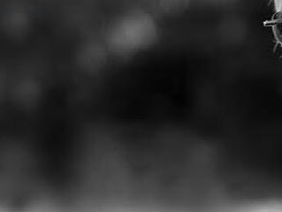 From Field to Stage to Screen: Aesthetic Methodologies in the Making of Sweet Tea