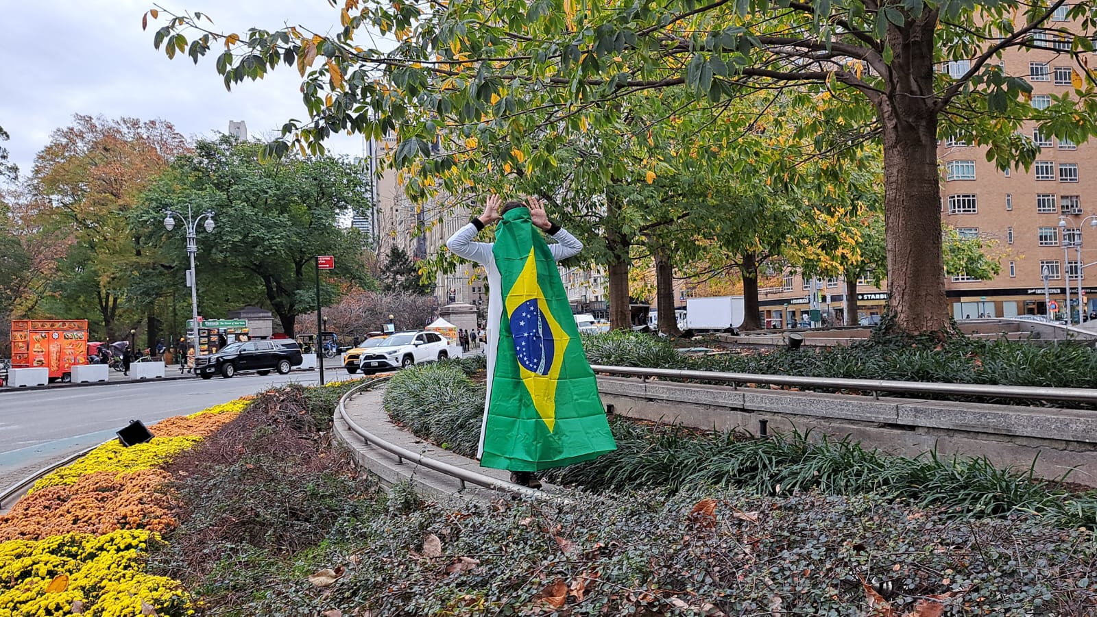Person covered in Brazilian flag