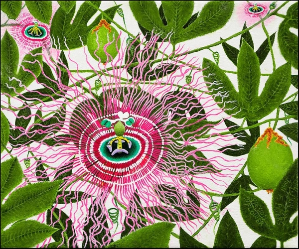 “Passion Flower” (oil on canvas) by John Francis Peters