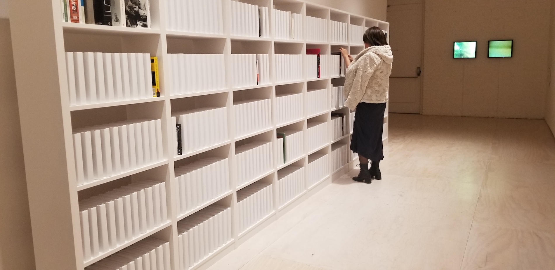 a series of white shelves filled with blank tomes