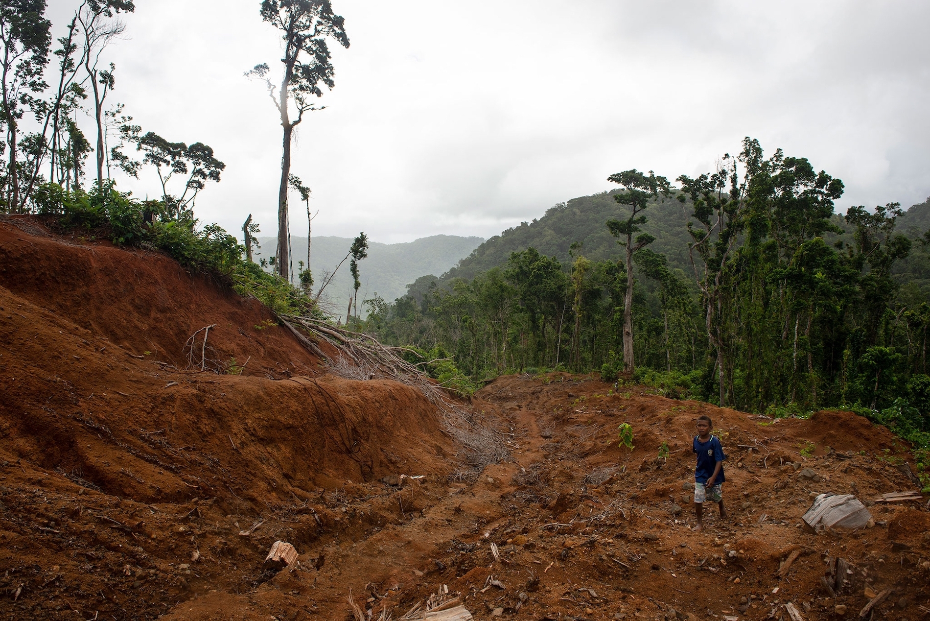 A logging road leads up to the main camp of Gallego, a logging company forced to stop operations by a local community. PHOTOGRAPH BY MONIQUE JAQUES