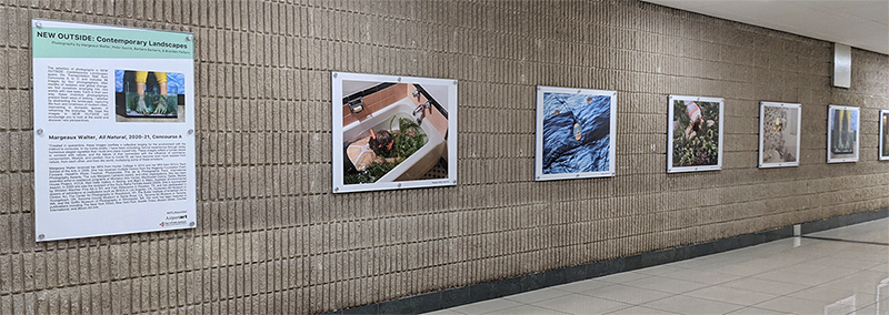 installation shot of the artist's works on view at atlanta airport concourse A