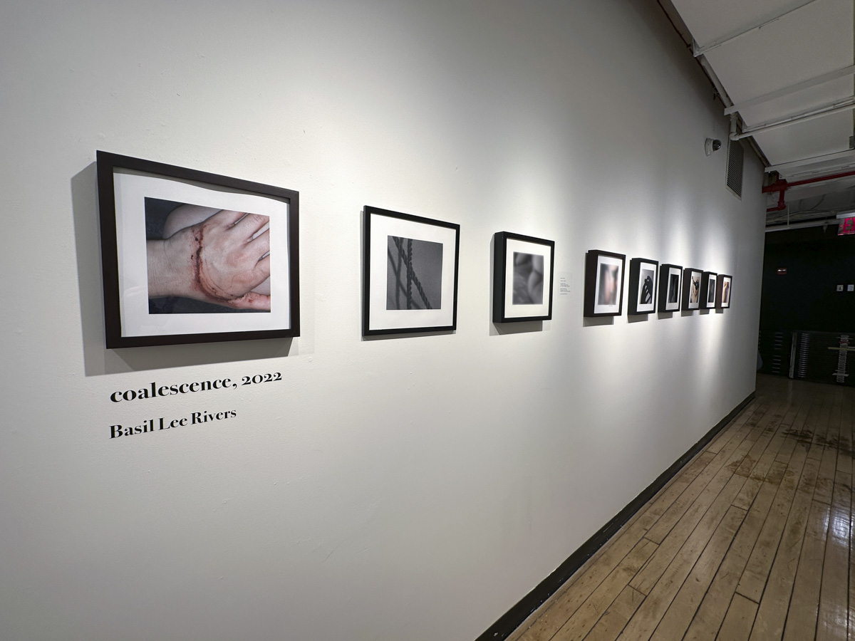 Show One artwork on display