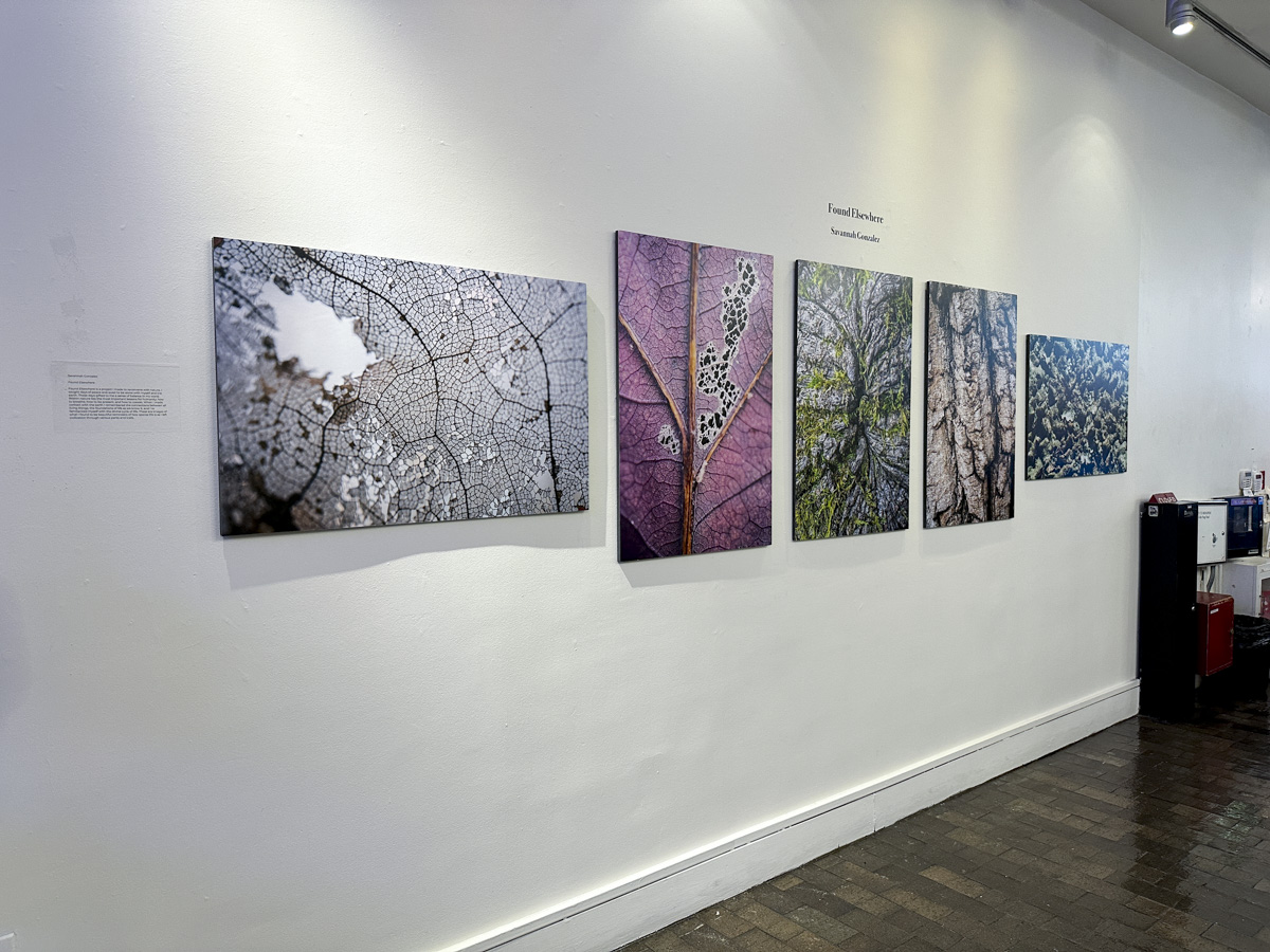 Show One artwork on display