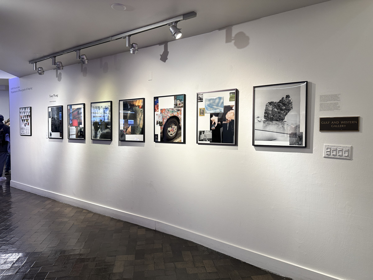 Show One artwork on display