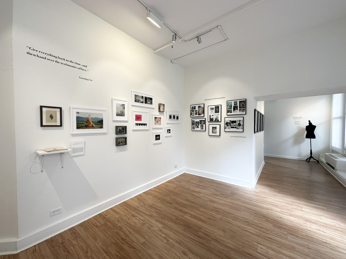 Show One artwork on display