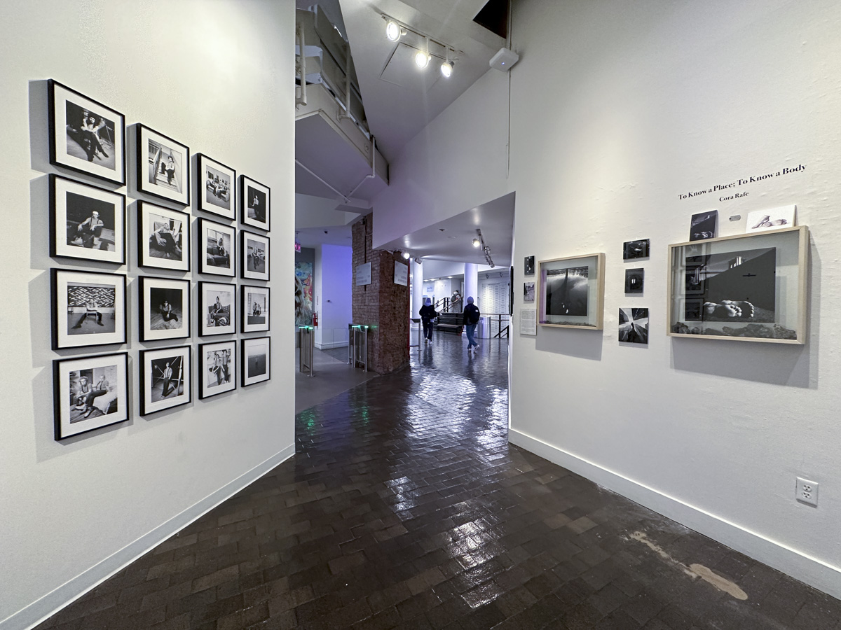 Show One artwork on display