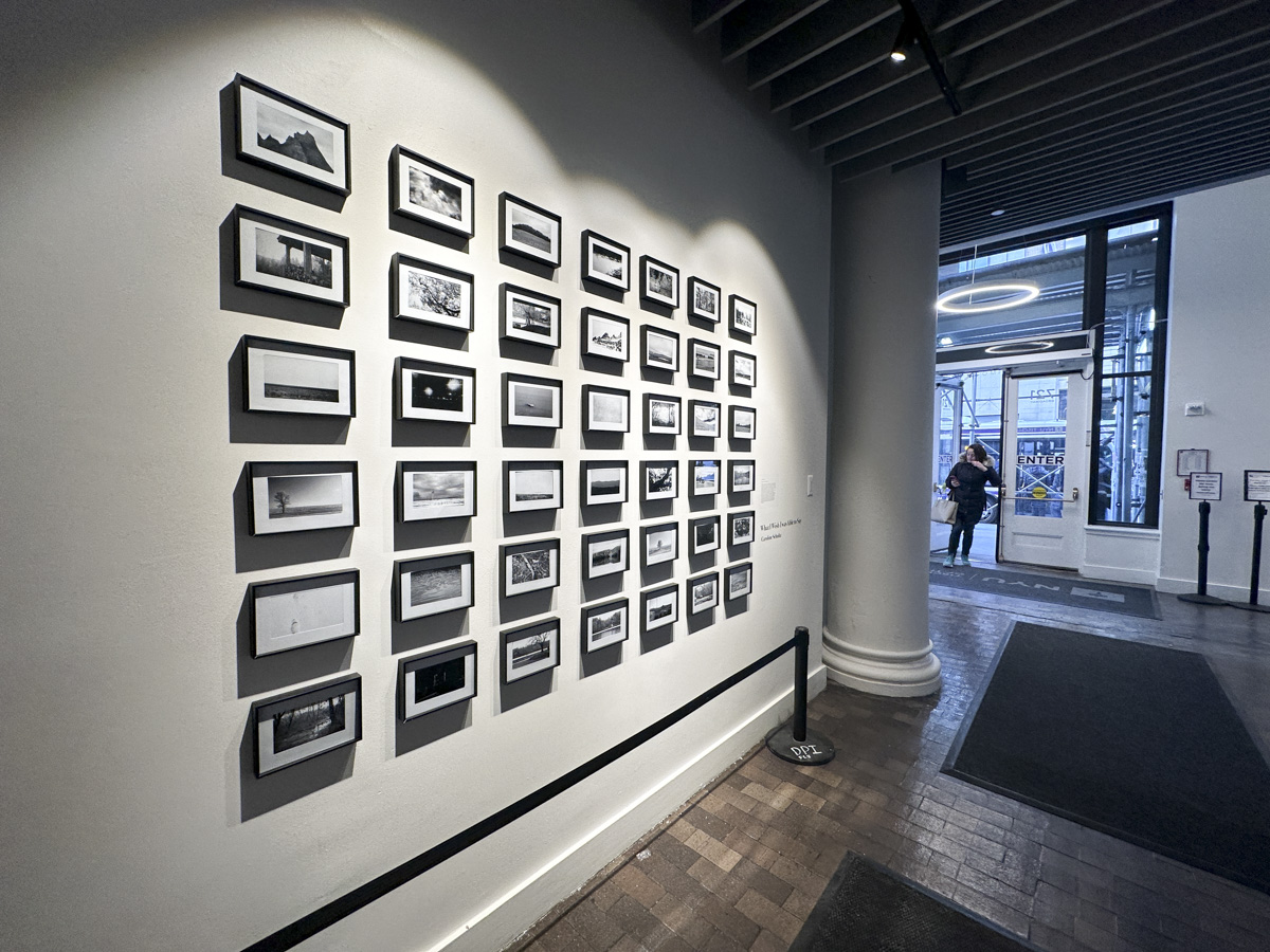 Show One artwork on display