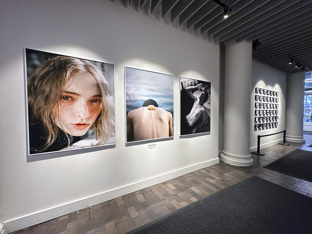 Show One artwork on display