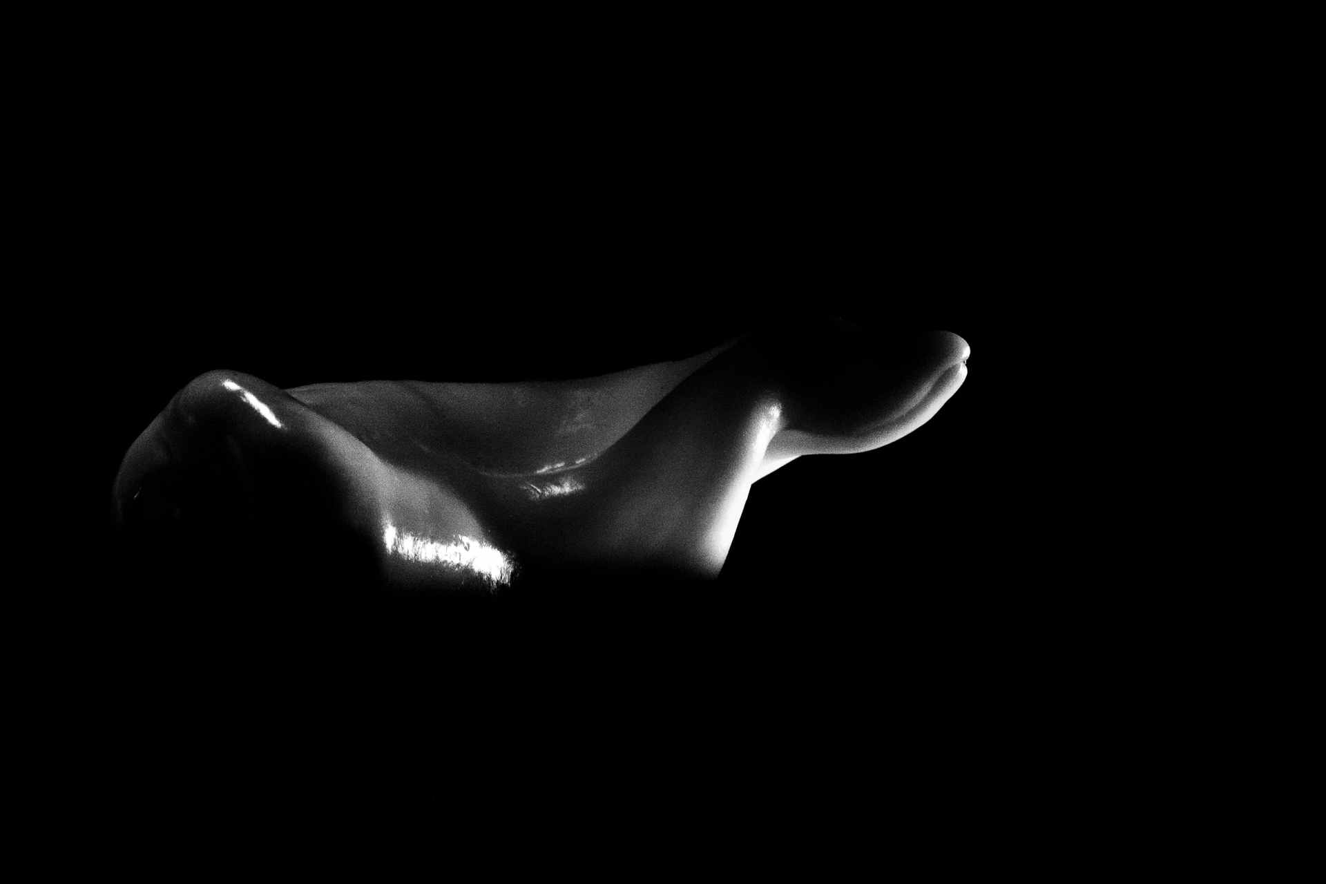abstract bw dark image of pepper
