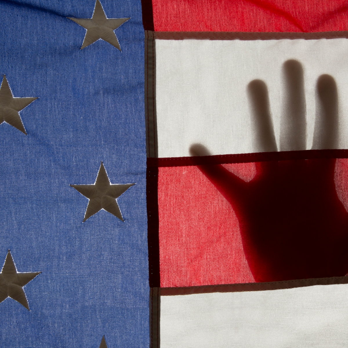 Color photo of a hand silhouetted behind an American flag by Chester Higgins
