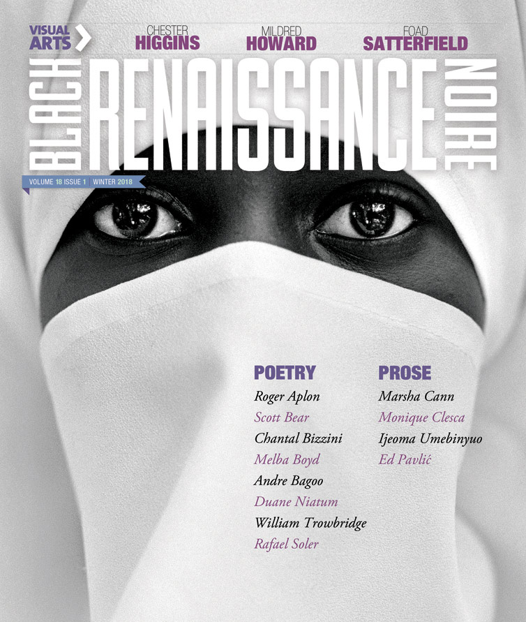 Cover image of Winter 2018 Issue Release Volume 18, Issue 1 which depicts a woman in hijab