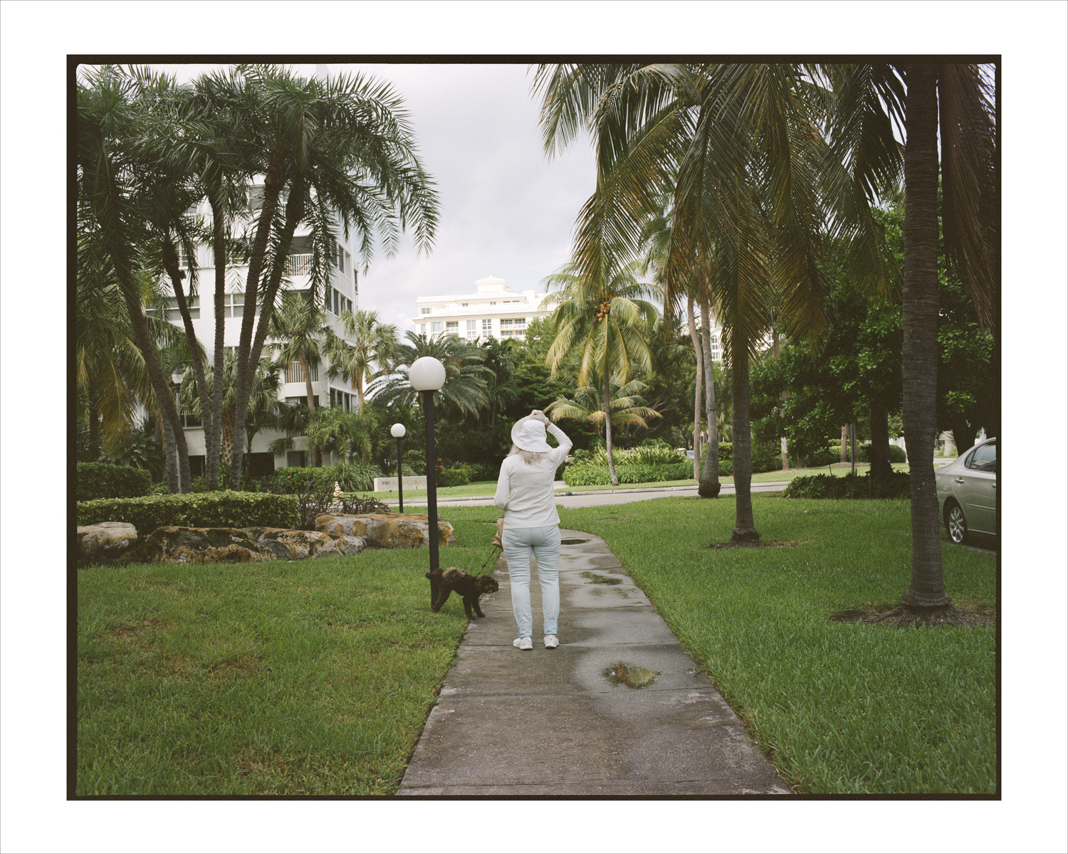 nature scene of an older woman in all white standing in a park