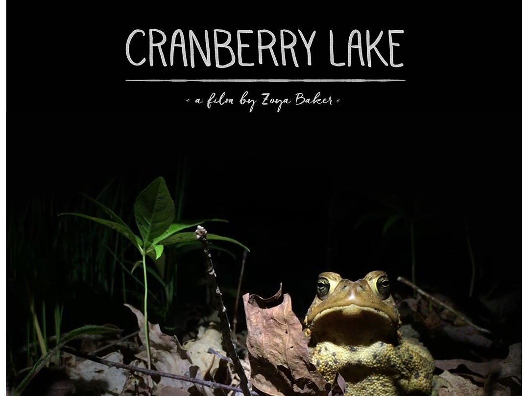 Climate Art & Action Incubator - Visualizing The Climate Crisis in Film and 3D, Plus: A Tasting of Foraged Foods and Beverages