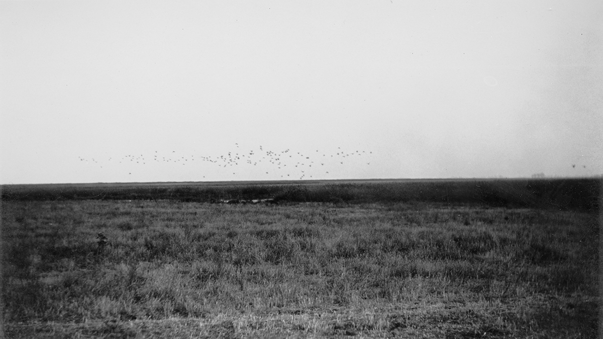 What I Wish I was Able to Say, Caroline Schultz