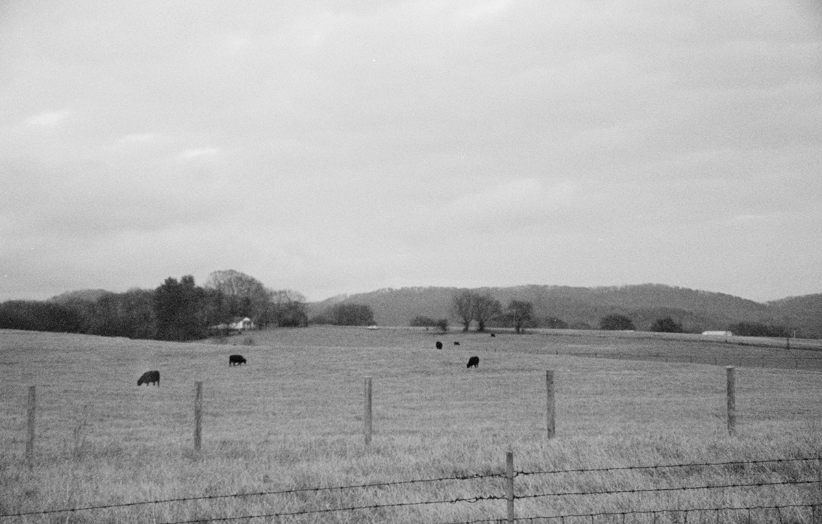 What I Wish I was Able to Say, Caroline Schultz