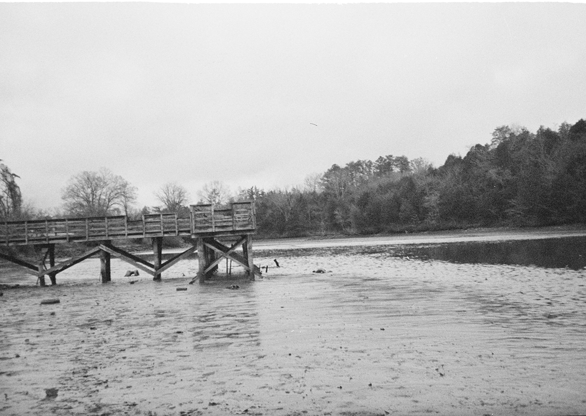 What I Wish I was Able to Say, Caroline Schultz