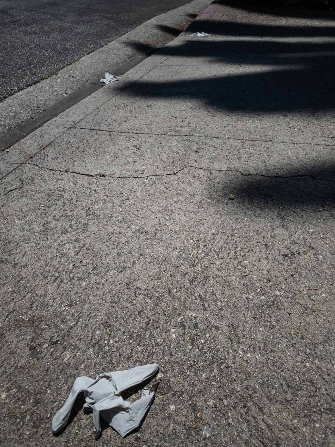 bird and shadows on ground