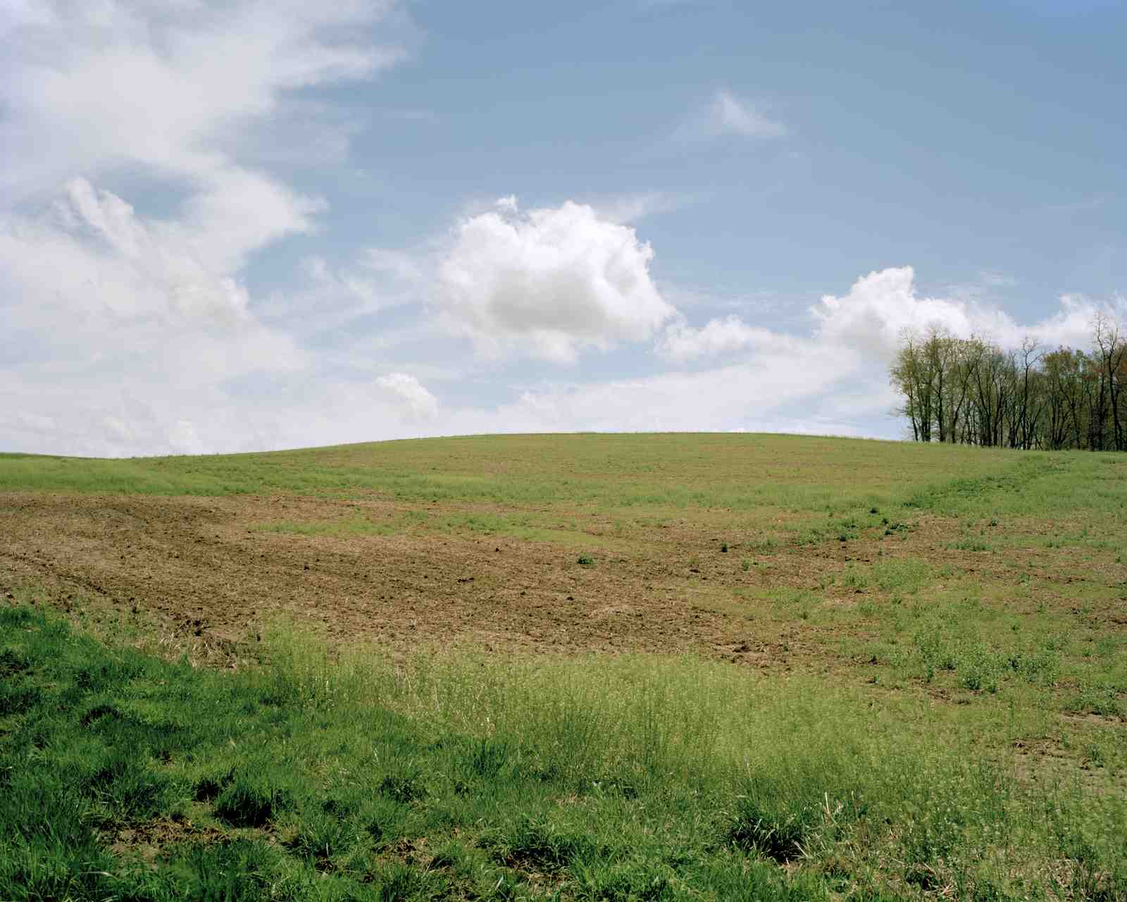generic grassy landscapoe with cenetred horizon