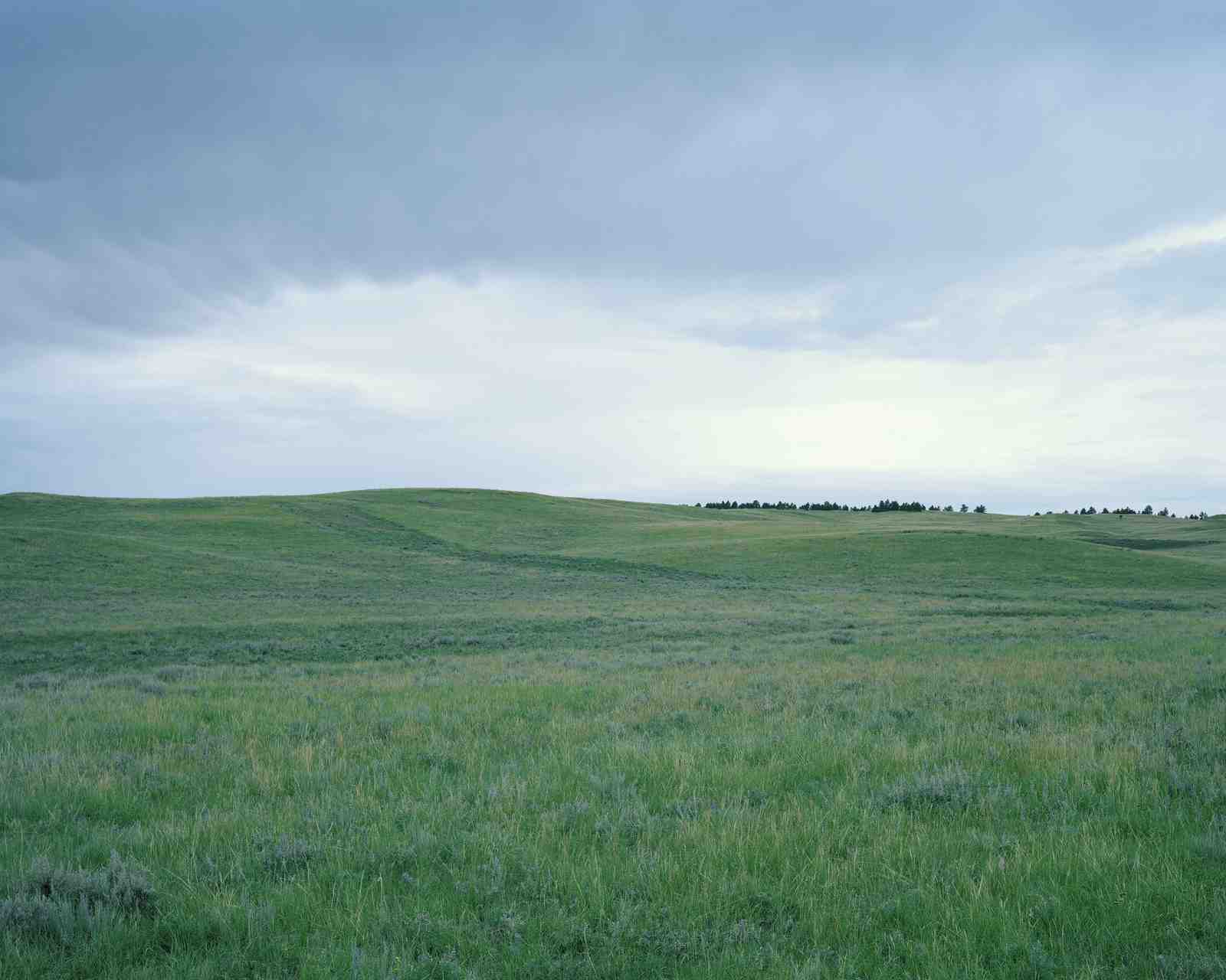 generic grassy landscape with centered horizon