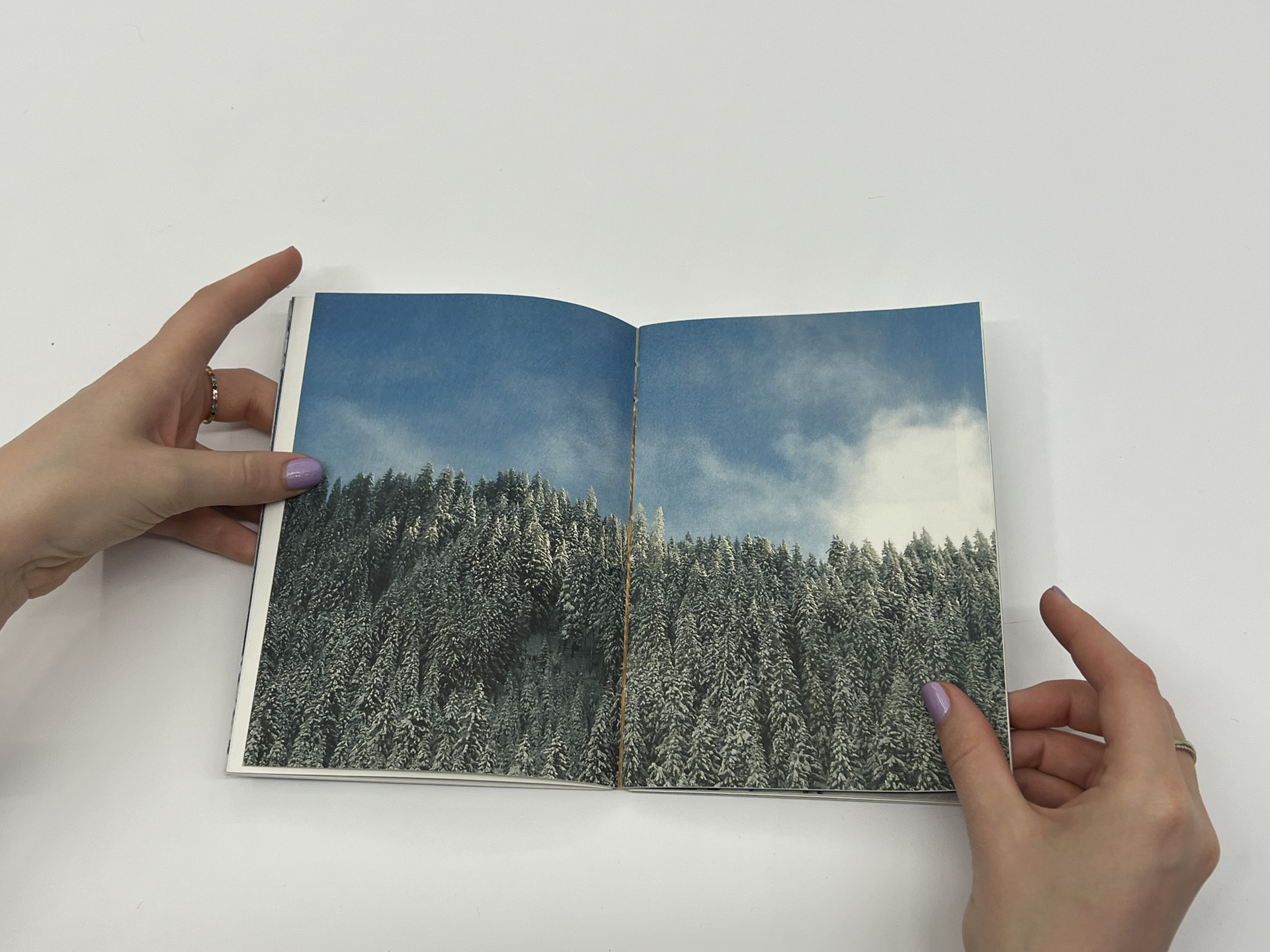 book opened to photos evergreen trees covered in snow