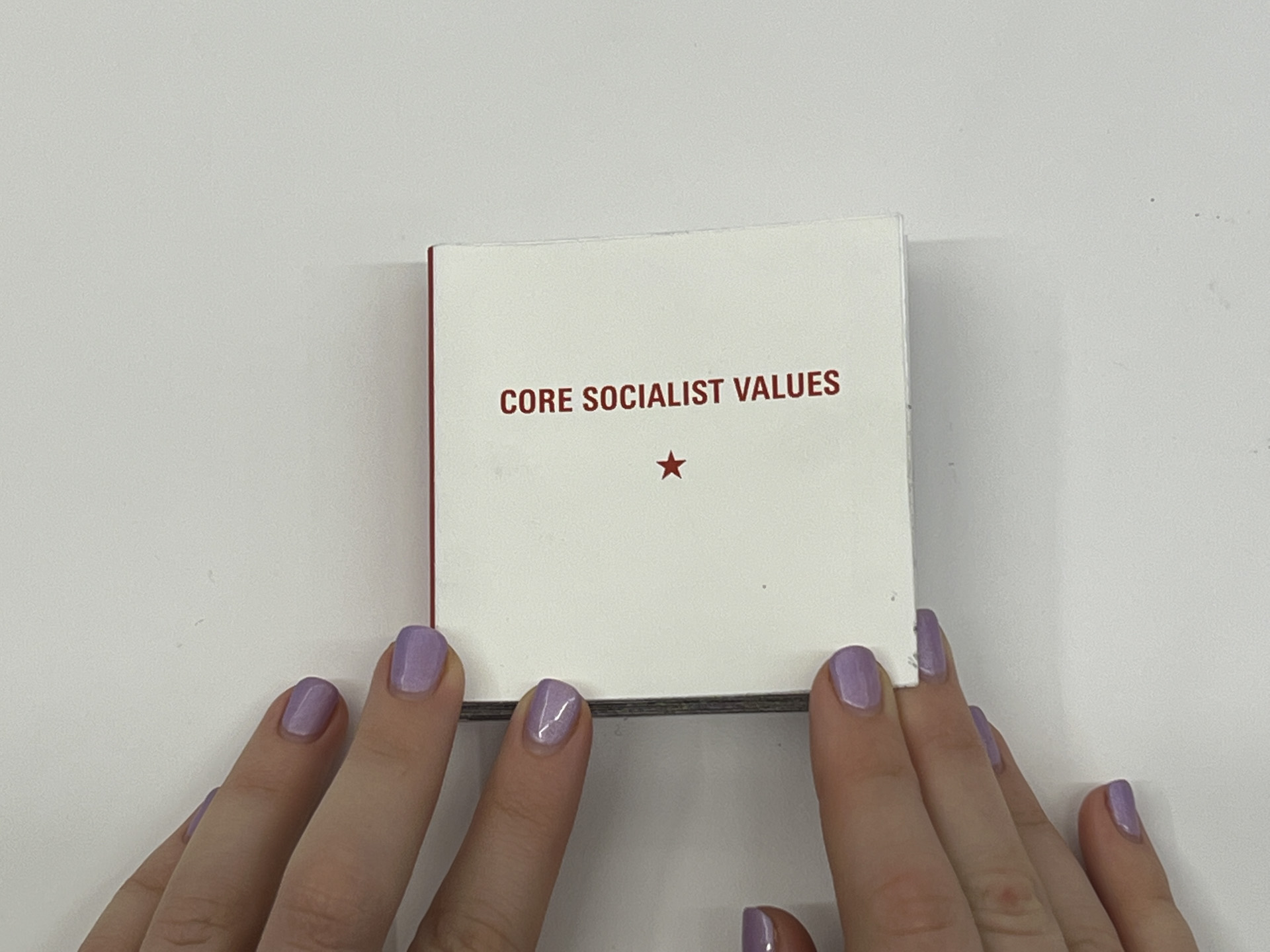 book cover witbh text of "core socialist values"