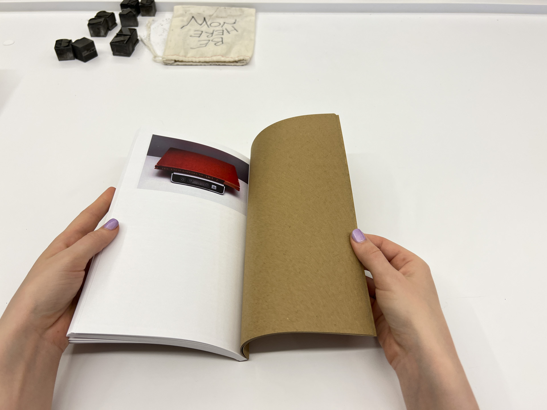 photo of a brown book open to a page with color photo of scale and red book