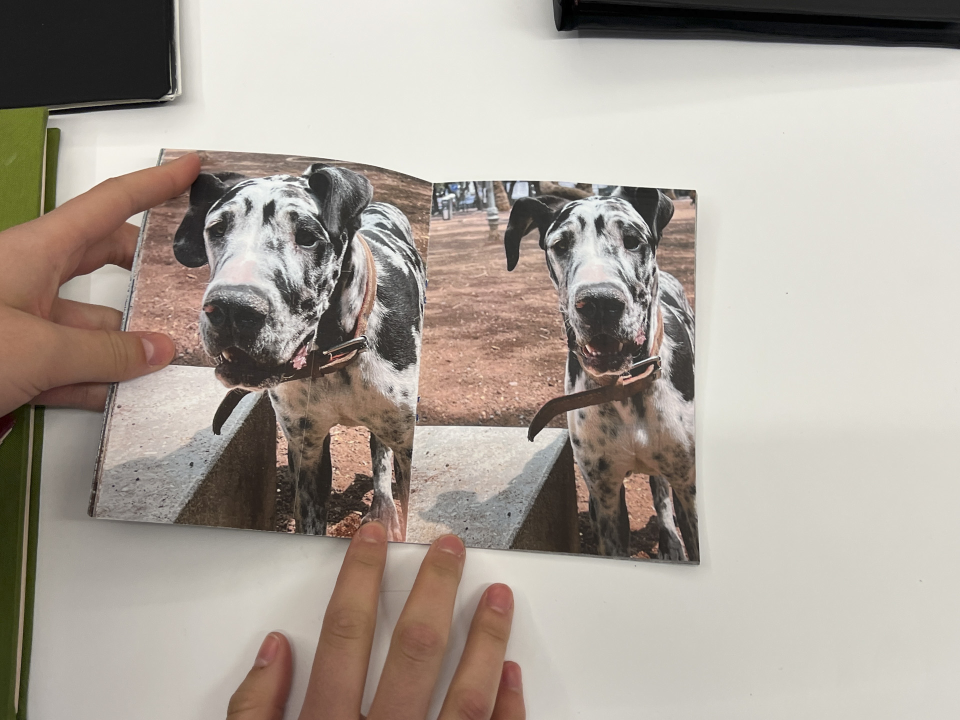 book opened to a photo of a dog vs photo of a dog
