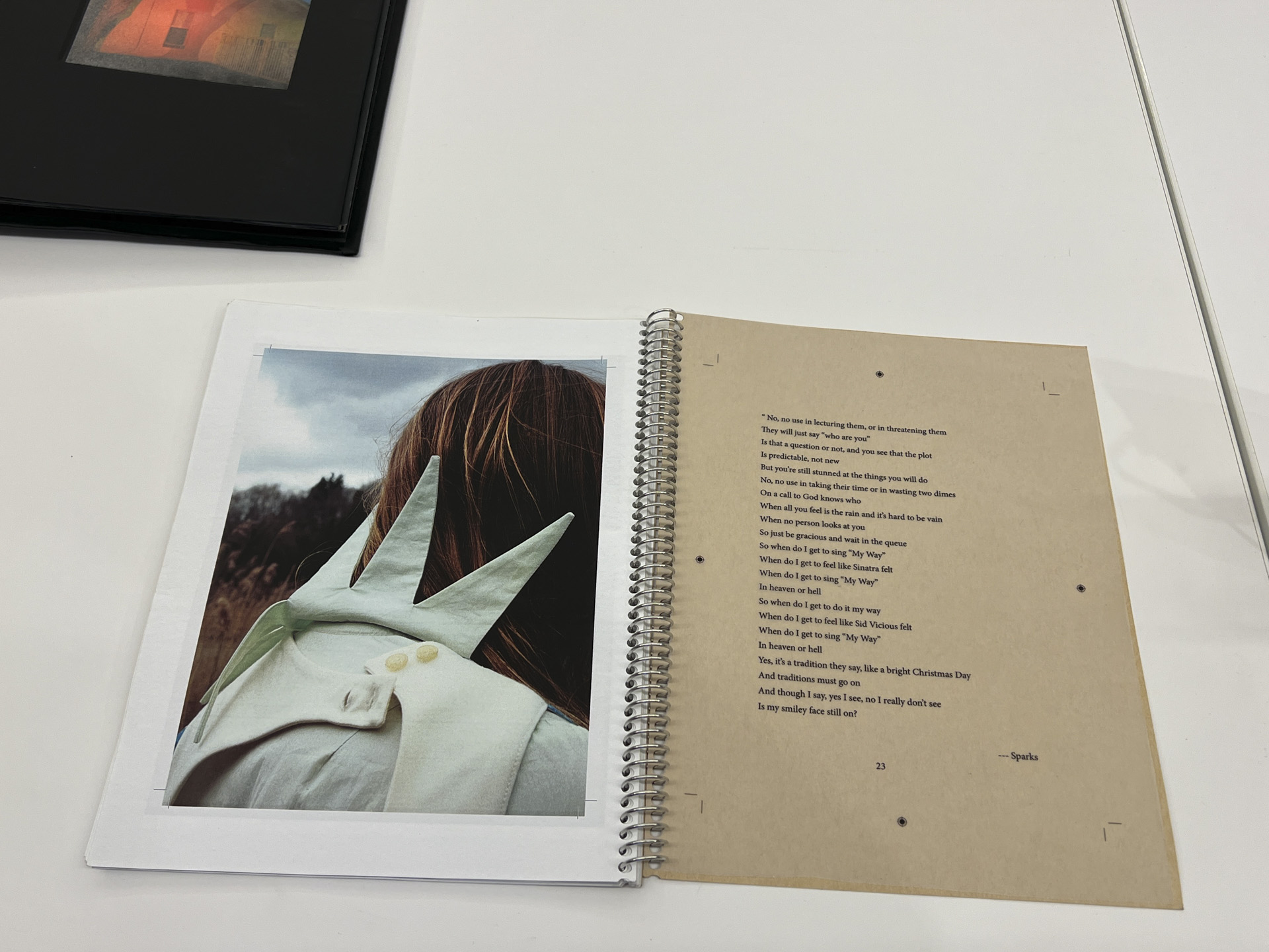 book open to pages displaying woman in field, rear of head vs. a poem