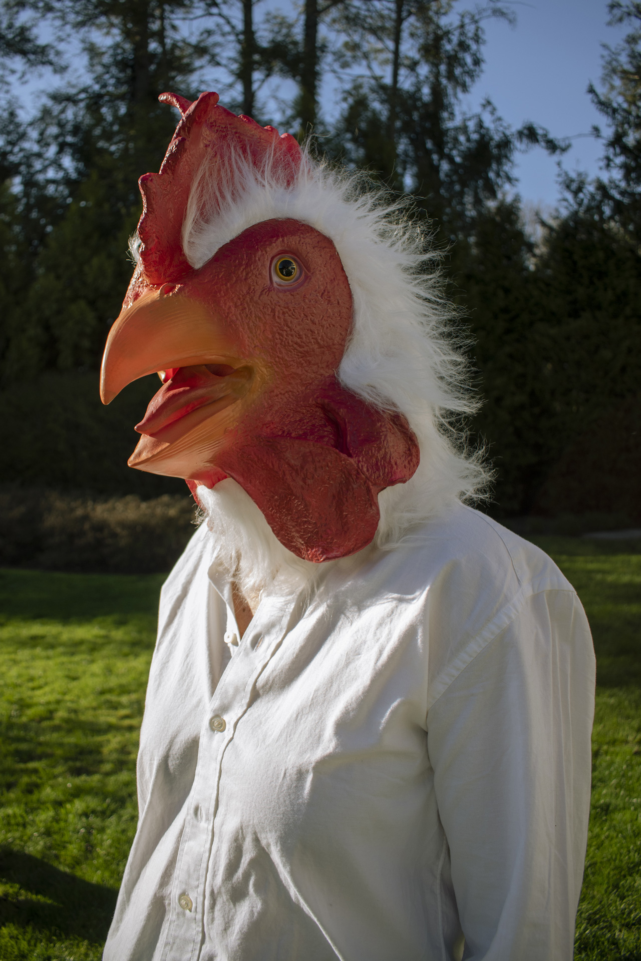 portrait of a person in a chicken mask