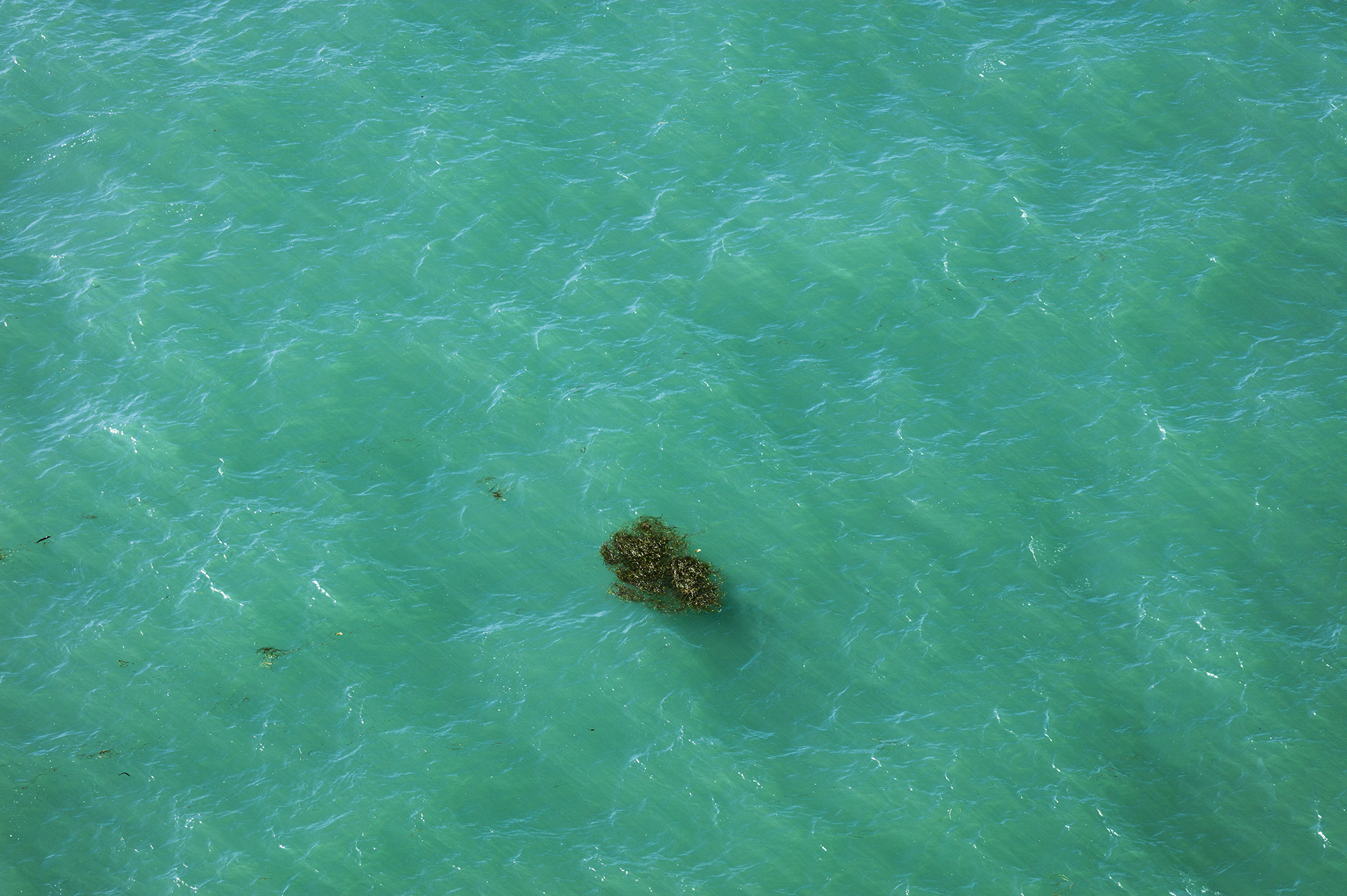 Seascape of Miami's coastline