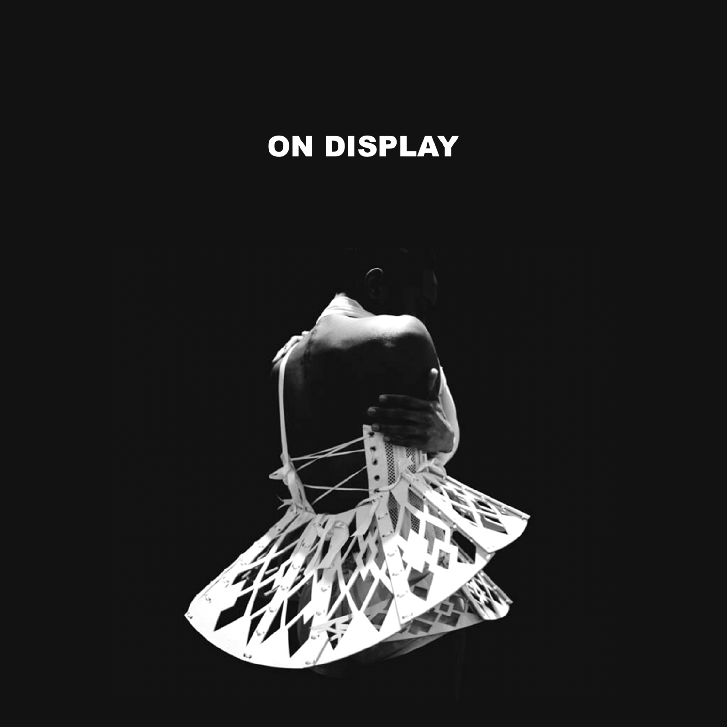 Heidi Latsky ON DISPLAY