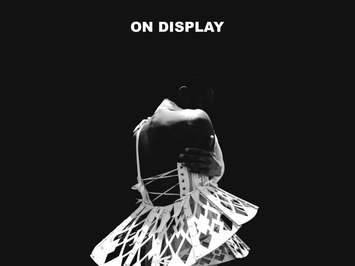 Heidi Latsky ON DISPLAY