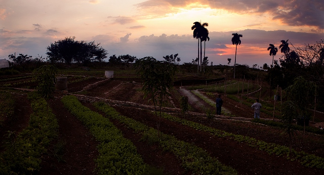 Cuban farm at sunset.